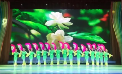 茉莉花•开